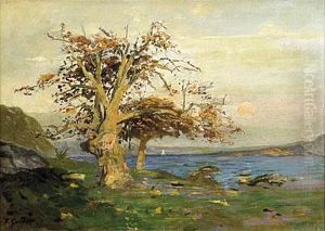 Knorrige Eiche Am Meer. by Greben
