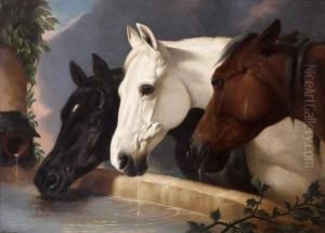 Chevaux A L'abreuvoir by Alfred H. Green