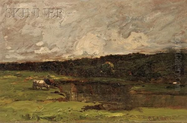 Cows Drinking At A Lake - view 1