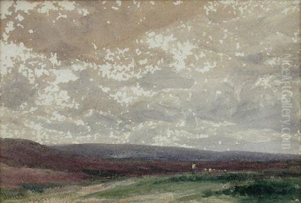Nearwareham - view 1