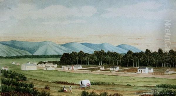 Tapanui, West Otago - view 1