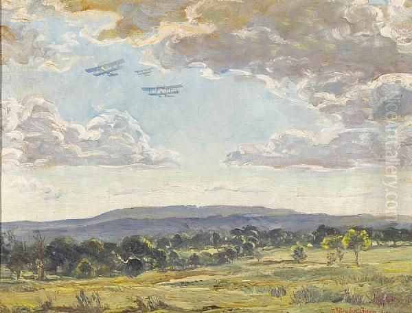 Biplanes Inflight - view 1