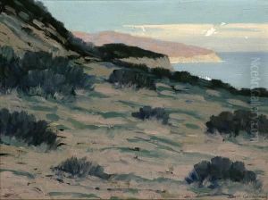 California Coastal View by Joseph Greenbaum