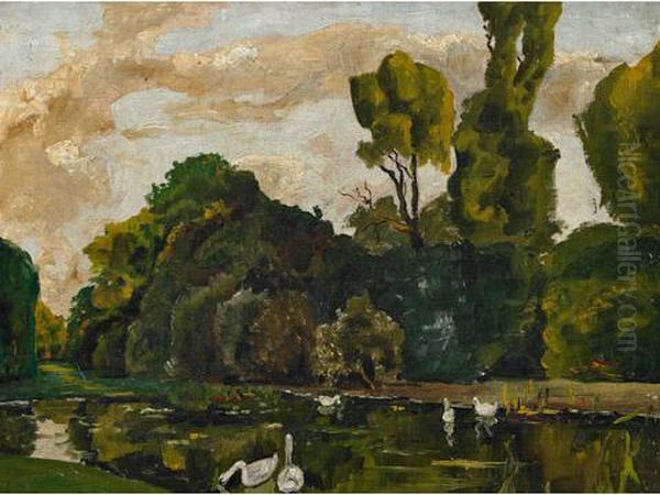 Lake Of Swans - view 1