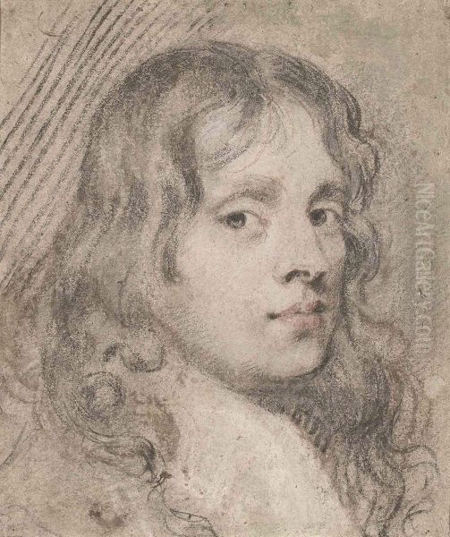 Portrait Study Of A Young Man, Bust-length, With Long Flowinghair - view 1