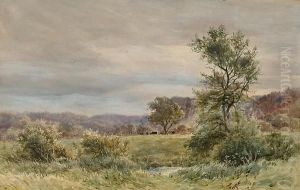 The Vale Of Llanwot by Colin H. Greenwood