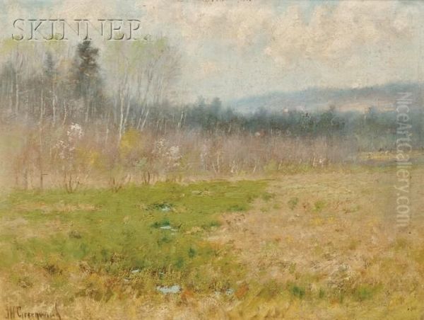 View Of A Meadow In Spring - view 1