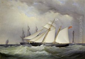 The Topsail Cruising Schooner
Royal Blue Jacket by Charles Gregory