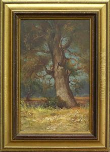 Oak Tree