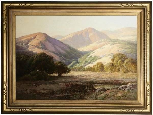 Oaks In A Foothill Landscape - view 1