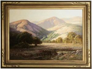 Oaks In A Foothill Landscape