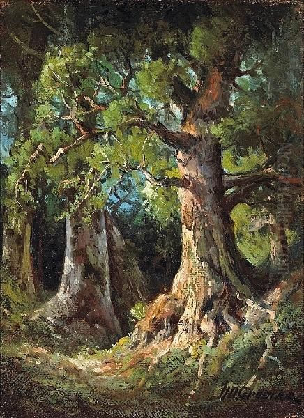 Forest Interior - view 1