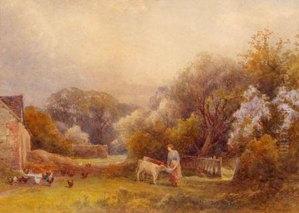 Woman Feeding Calves In A Farmyard With Chickens Inattendance - view 1