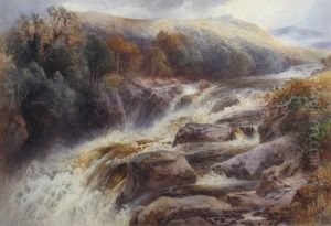 Swallow Falls, North Wales by Frank Gresley