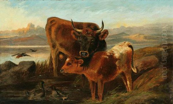 Cow And Calf In A Highland Landscape - view 1