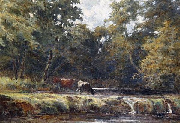 Cattle Watering - view 1