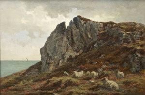 Sheep By The Coast by Alfred Grey