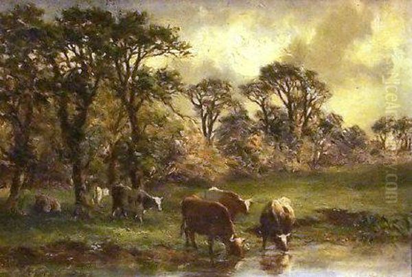 Cattle Watering - view 1