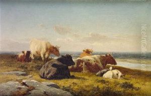 Cattle At Rest By Estuary by Alfred Grey