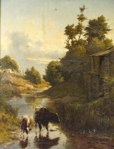 Cattle Watering In A Stream by Alfred Grey