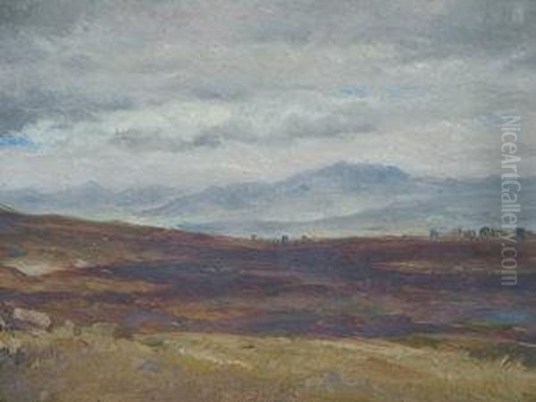 Highland Landscape - view 1