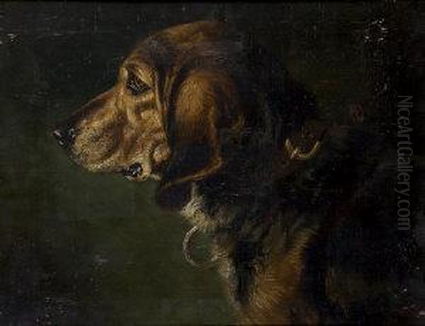 Portrait Of A Bloodhound - view 1