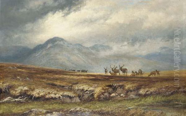 Stags In A Mountain Landscape - view 1