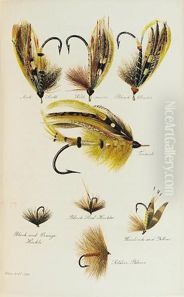 Fly Fishing - view 1