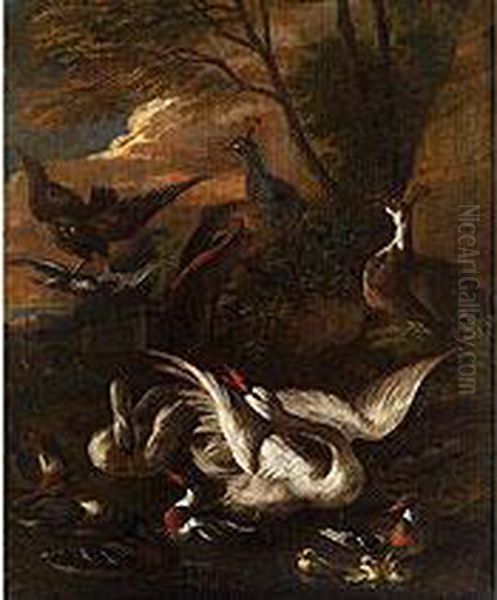 Federvieh In Abendlicher Landschaft Mit Raubvogel - view 1