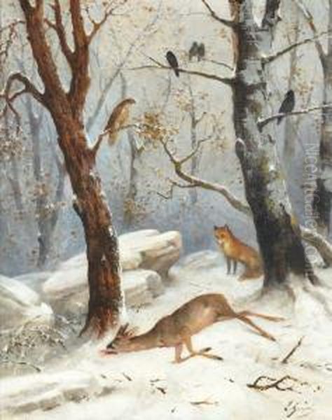 Un Renard Approchant Un Chevreuil Mort - view 1