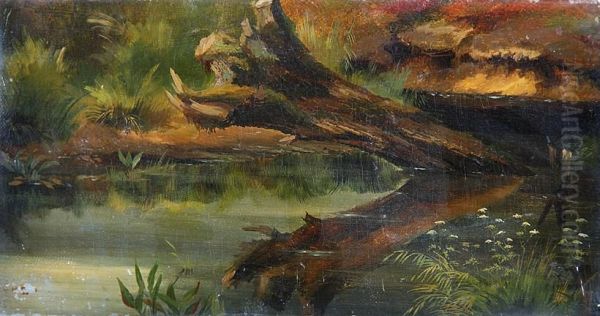 Motiv Aus Dem Spreewald: Abgestorbener Baumstamm, Sich Im Wasser Spiegelnd - view 1