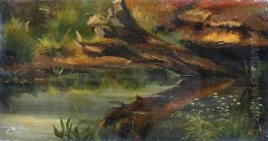 Motiv Aus Dem Spreewald: Abgestorbener Baumstamm, Sich Im Wasser Spiegelnd