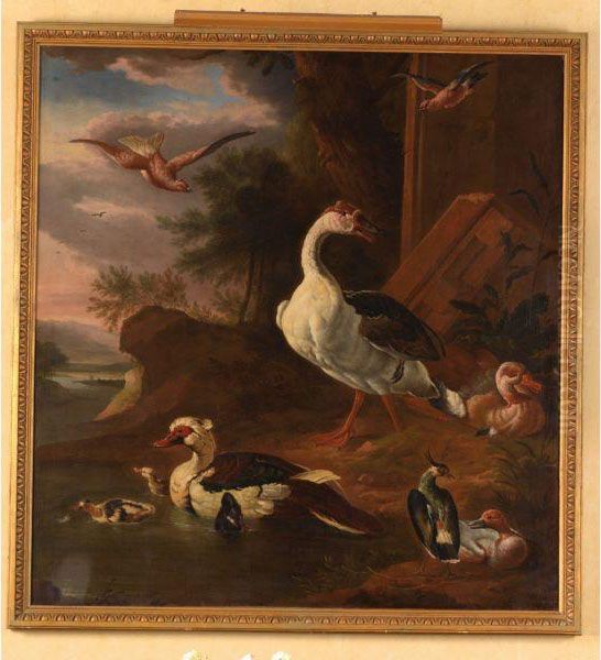 Oies, Canard De Barbarie, Vanneau Huppe Et Autres Oiseaux Dans Unpaysage De Riviere - view 1