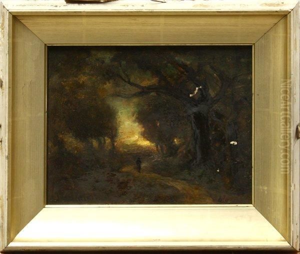 Forest Scene - view 1