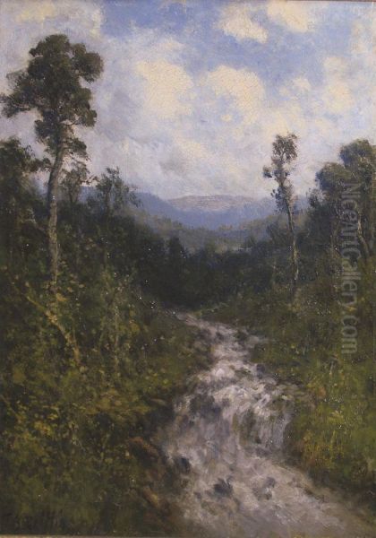 The Babbling Brook - view 1
