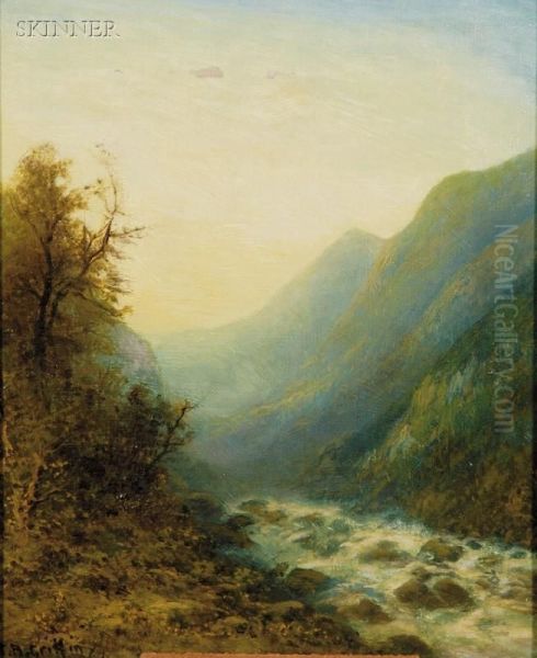 River Rapids - view 1