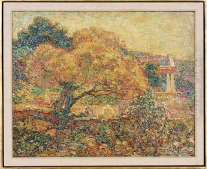 Mimosa Tree by Walter Griffin