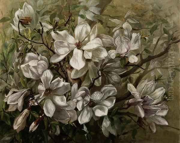 Magnolias - view 1