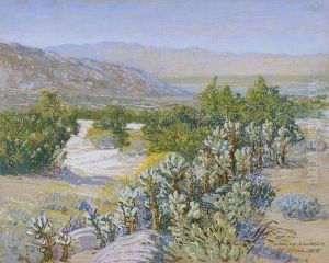 Cacti