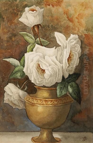 White Roses - view 1