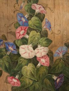 Morning Glory by James Griffiths