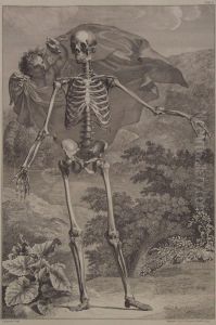 Standing Skeleton And Cherub by Charles I Grignion