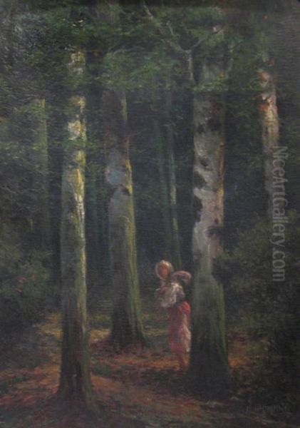 In The Forest - view 1