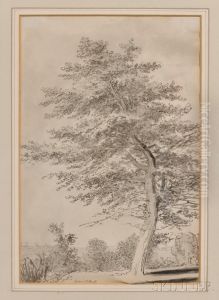 Greenwich Parck by Samuel Hieronymus Grimm