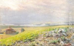 Paysage Brumeux