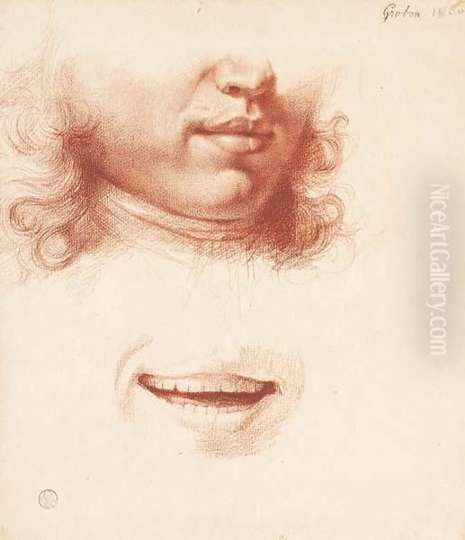 Etudes Du Bas De Visage D'un Jeune Homme Et D'une Bouche - view 1