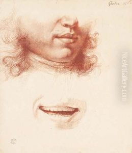 Etudes Du Bas De Visage D'un Jeune Homme Et D'une Bouche by Jean Michel Grobon