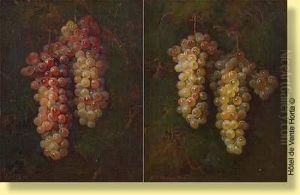 Grappes De Raisins Grappes De Raisins