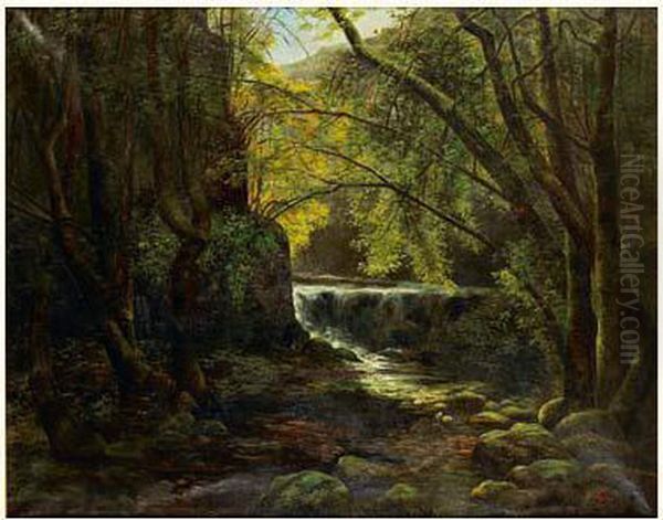 Riviere En Foret - view 1