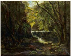Riviere En Foret Riviere En Foret